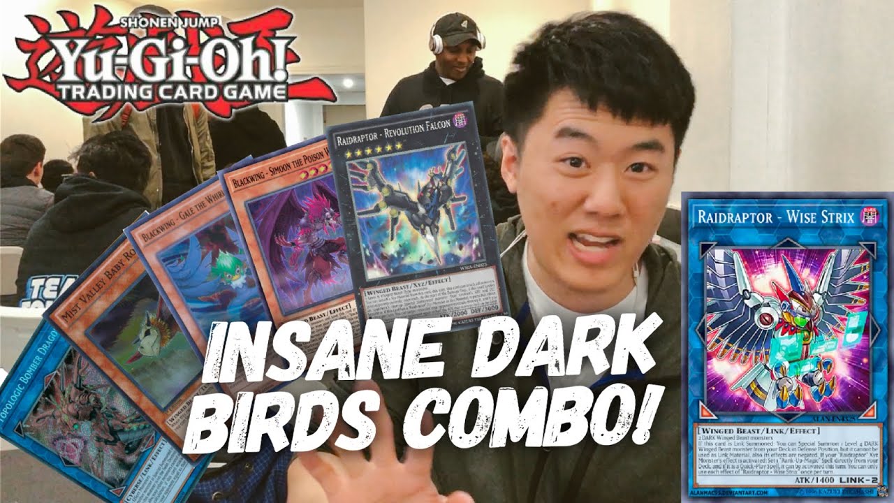 Insane Blackwing Combo from Tim Li - Yu-Gi-Oh! Feat. Raidraptor - Wise Strix
