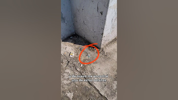 Me encontré 🦜🦜 en la calle! #pintarminiaturas #bromas