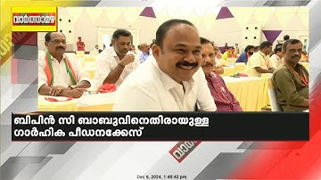 ഗാർഹികപീഡന കേസിൽ ആലപ്പുഴ ജില്ലാ പഞ്ചായത്തംഗം ബിപിൻ സി ബാബുവിന്റെ അറസ്റ്റ് തടഞ്ഞ് ഹൈക്കോടതി