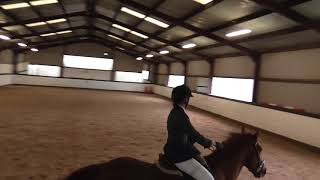 Laura McLaughlin & Barney Croft End Equestrian Centre RS UK   wtca13544