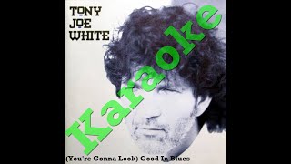 Tony Joe White - (You're gonna look) good in Blues - 1991 - karaoke