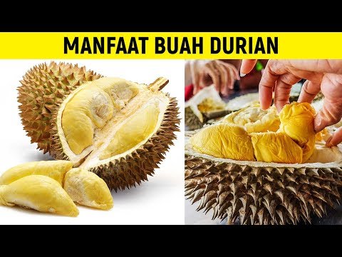 Video: Buah Durian Apa?