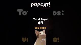 #DreamTrackAI My brain is a glitching computer, A secret society of alleycats, The 2am study vibe