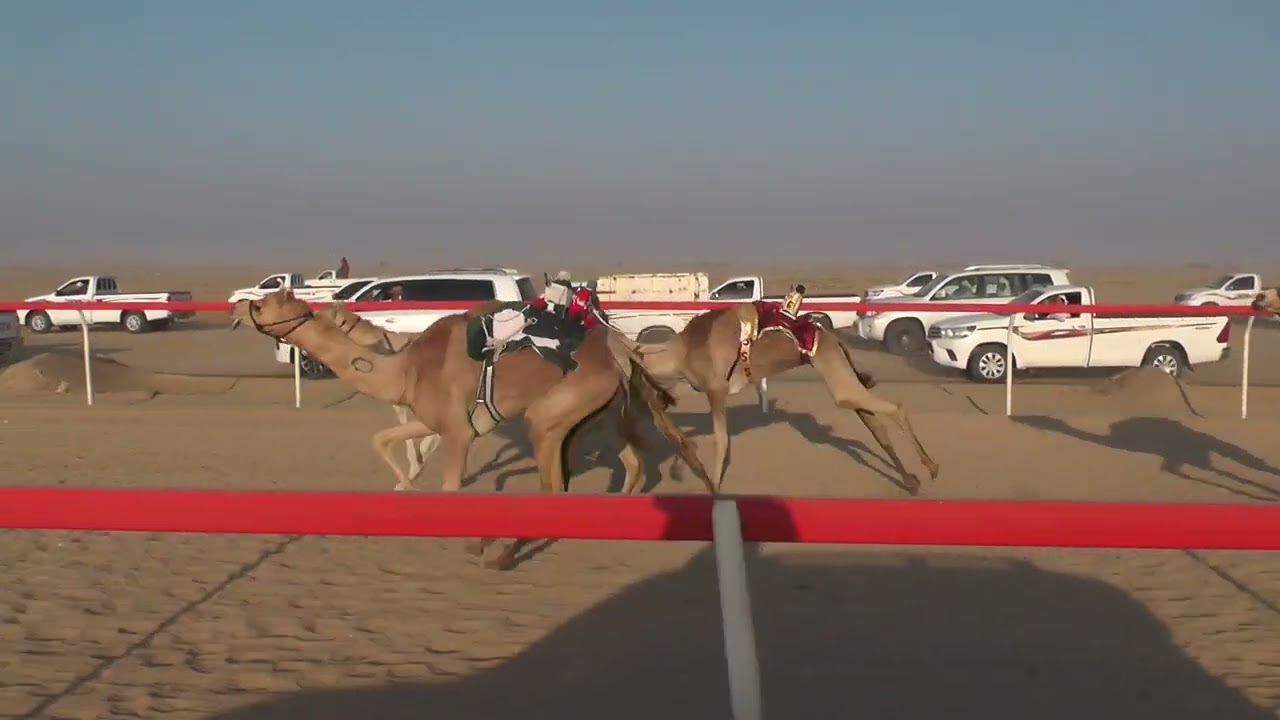 تحذير/ سالم محمد راشد الدرعي 2.17.98 (ميدان سيح العراد)