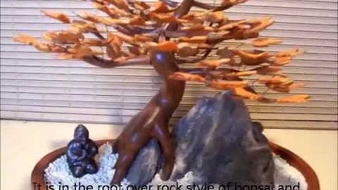 Bonsai Tree Sculpture #83 by Jim Shull
