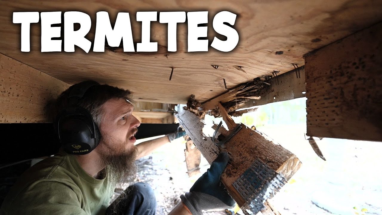 Found Hidden Damage - Mobile Home Rebuild