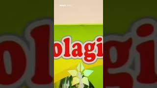 Kolagit obat herbal diabetes andalan keluarga anda, ingat jangan beli di marketplace karena oplosan