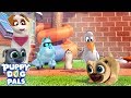 Pug Tag | Playtime with Puppy Dog Pals | Disney Junior