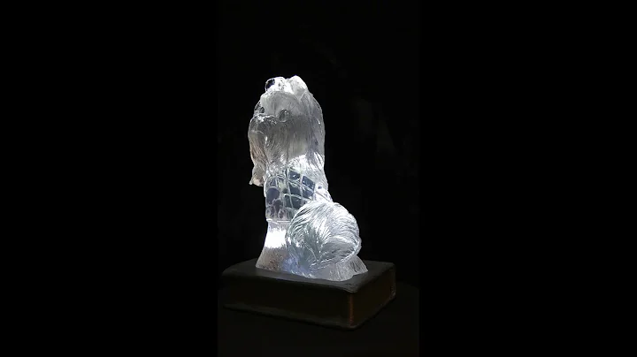 crystal clear illuminated maltese by Sharon Rainey