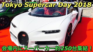 東京スーパーカーデイ 2018 お台場にフェラーリ、ランボルギーニ、シロン等集結！Tokyo Supercar Day 2018 Ferrari&Lamborghini&Chiron etc