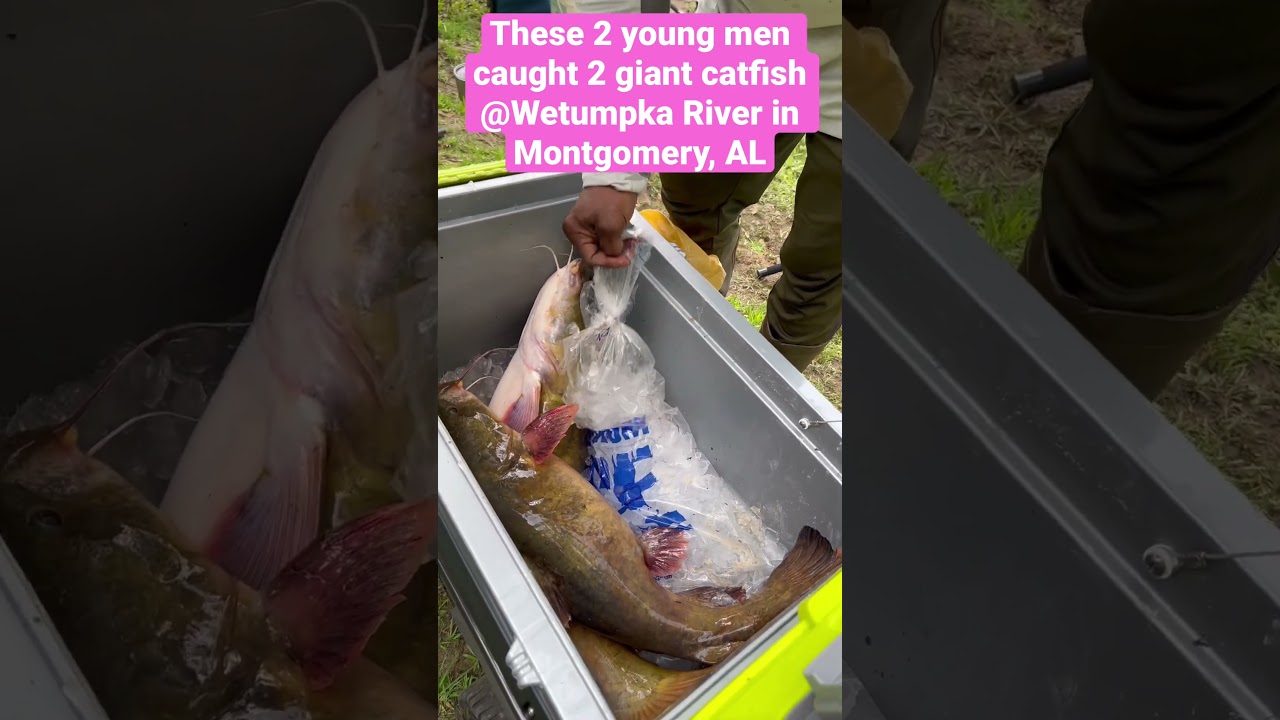 Fishing in Wetumpka River || Montgomery AL  