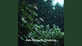Rain Noise, Pt.14