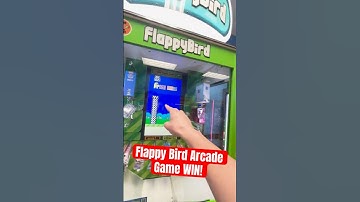 RARE Flappy Bird Arcade Game WIN! #shorts #arcade #arcadegame #arcadegames #flappybird
