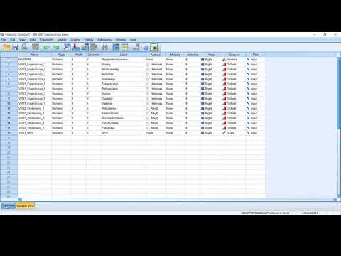 Datacontrole in SPSS - Instructie