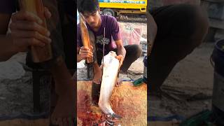 Amazing Fresh Boal Fish Cutting Skillshortsfeed fishcutting boal viralfishcutting viralshorts