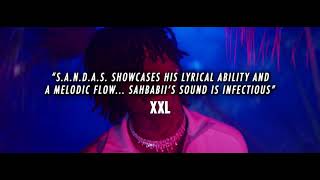 SahBabii commentary from fans & major publications