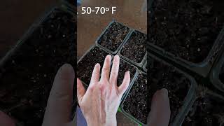 Seed Starting Brassica (Cabbage & Broccoli) #homesteadgarden #gardening #seedstarting @1870s