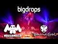 Marshmello drops only live @Tomorrowland, Belgium 2017