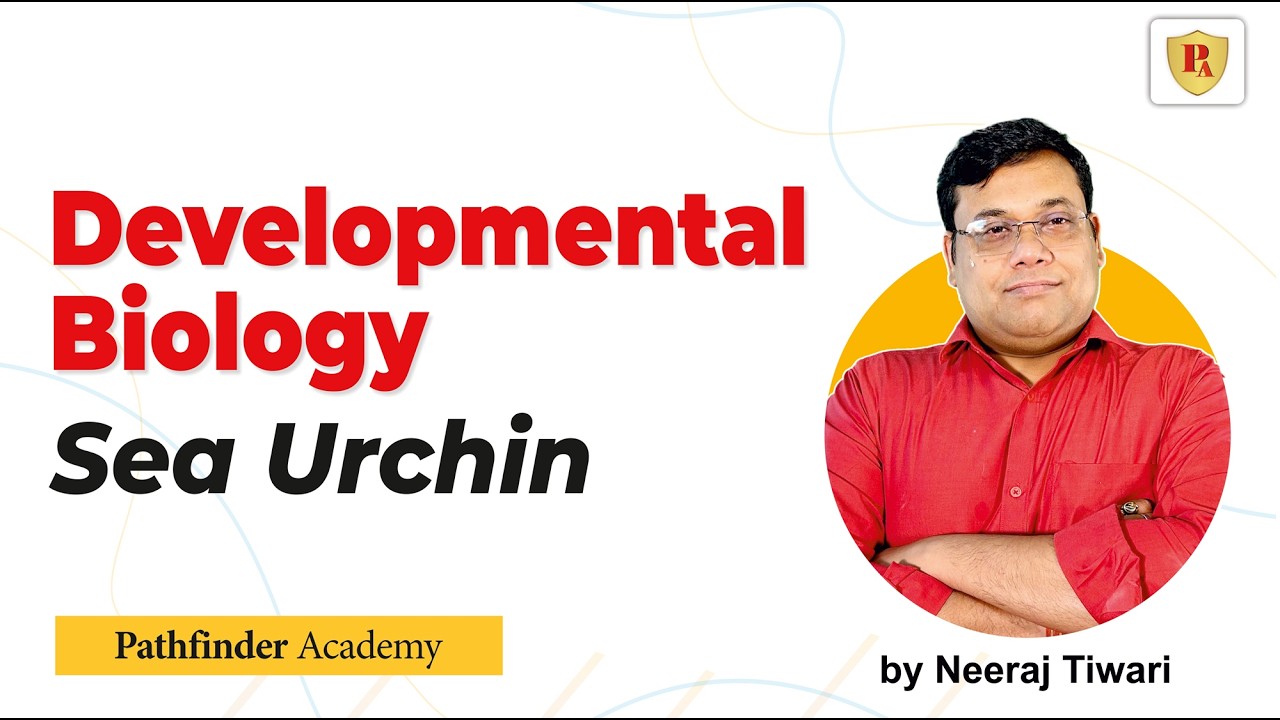 Developmental Biology | Sea Urchin | CSIR NET