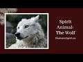 Animal Spirit Guide - The Wolf (Shamanic Power Animal). Wolf Symbolism