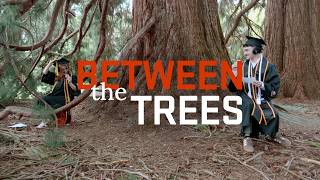 Between the Trees 2026