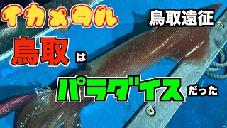 【イカメタル•オモリグ】鳥取白イカ遠征〜鳥取そこはオモリグのパラダイスだった！