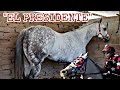EL PRESIDENTE(historias de carril)