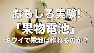 おもしろ実験!「果物電池」キウイで電池は作れるのか？ 夏休みはあと少し！