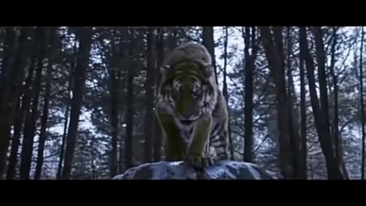 хорошие слова [фильм великий тигр] - YouTube