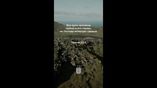 Притчи 21:1-5 учит: Бог направляет сердце царя #bti #biblevision
