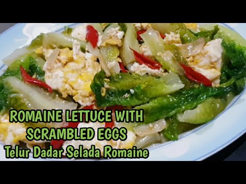 ROMAINE LETTUCE WITH SCRAMBLED EGGS || TELUR DADAR SELADA ROMAINE@sunflowercreator3152