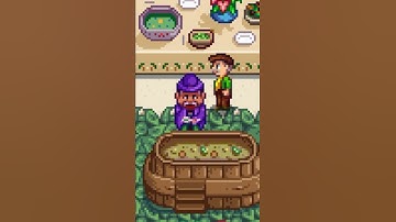 I Put The Mayors Lucky Underwear In The Stardew Valley Potluck