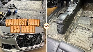 Deep Cleaning The HAIRIEST Audi RS3 EVER | EXTREME Dog Hair Removal | Satisfying Car Detailing