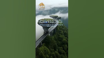 🌾💛 ومن يتق الله يجعل له مخرجا ويرزقه من حيث لا يحتسب 💛 تلاوة هادئة 💛 القارئ الشيخ ماهر المعيقلي 💛🌾