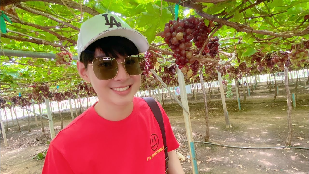 เซ้นต์ซุป x ไร่องุ่น