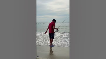 #Phan Thiết. Cần thủ #shortvideo