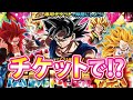 チケットでラストチャンス!?11周年【ドッカンバトル#2208】【DragonballZ Dokkan battlel】
