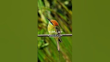 في سكون الفجر.. تلاوة تبعث الطمأنينة في قلبك ✨🌅