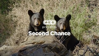 HEB | Our Texas, Our Future Films: Second Chance