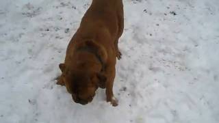 MVI_3761.avi