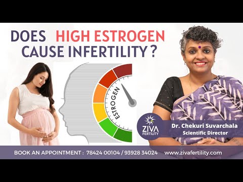 High Estrogen Levels