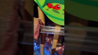 Love relaxing nature videos? Subscribe 🌿👇