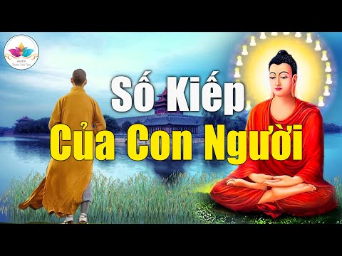 Video Câu chuyện phật giáo hay nhất về số kiếp con người,... - youtube