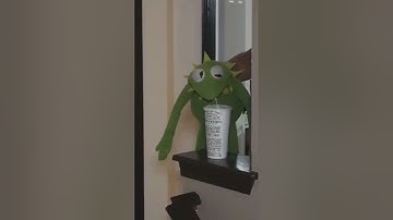 Kermit, don