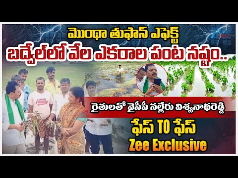 YSRCP Nalleru Viswanath Reddy Interesting Comments | Cyclone Montha | Zee Telugu News - ZEE24TELUGUNEWS