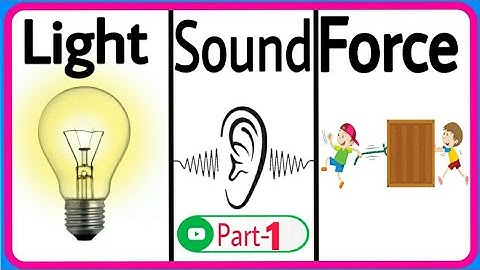Light, Sound and Force || Part-1 || Science || Class-3 || In English