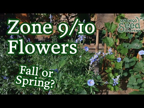 Video: Growing Zone 9 Wildflowers - Memilih Bunga Liar Toleran Panas