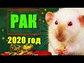 РАК. ГОРОСКОП НА 2020 ГОД