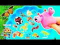 Bug Insect Names &amp; Facts | Kids Learn with Toys: Ladybug Slug Caterpillar Woodlouse