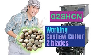 Working Cashew Cutter Machine 2 Blades 02Shcn